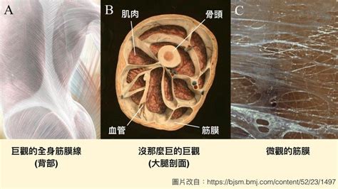 牽一髮動全身